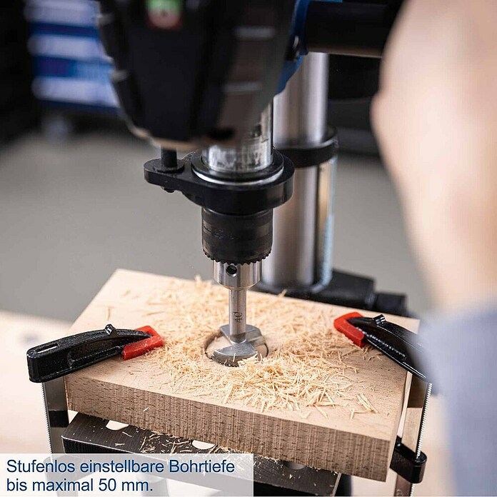 Scheppach Tischbohrmaschine TBM250 (550 W, Leerlaufdrehzahl: 510 U/min - 2 430 U/min, Spannweite Bohrfutter: 1,5 mm - 13 mm) | BAUHAUS