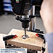 Scheppach Tischbohrmaschine TBM250 (550 W, Leerlaufdrehzahl: 510 U/min - 2 430 U/min, Spannweite Bohrfutter: 1,5 mm - 13 mm) | BAUHAUS