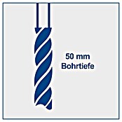 Scheppach Tischbohrmaschine TBM200 (400 W, 550 U/min - 2 600 U/min, Spannweite Bohrfutter: 1,5 mm - 13 mm) | BAUHAUS