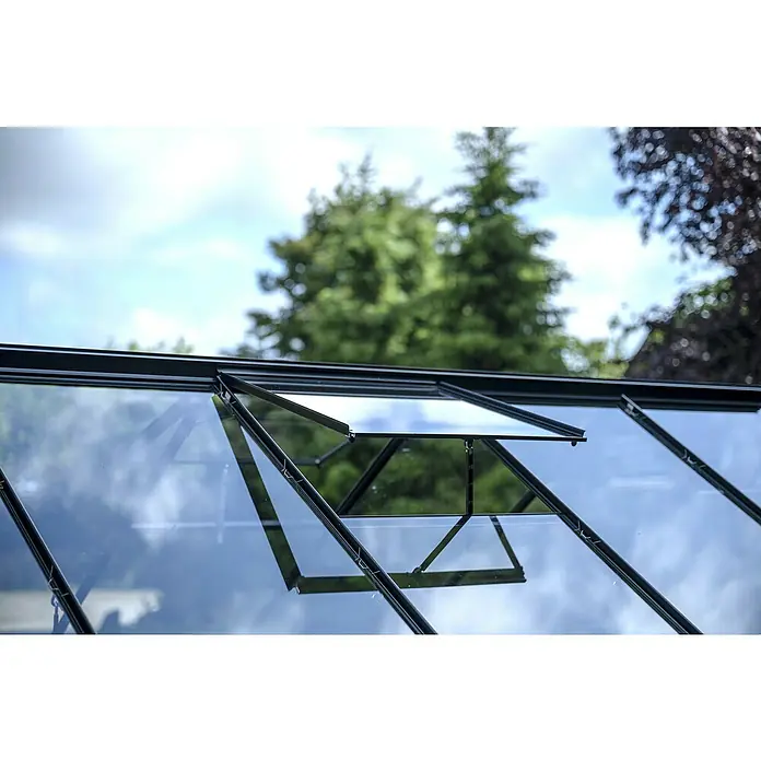Halls Gewächshaus Popular 106 - Außenmaß inkl. Dachüberstand (B x T): 193 x 319 cm, Blankglas, 3 mm, Schwarz - Schwarz gerahmtes Gewächshaus mit offenen Dachfenstern zur Belüftung, in einer Gartenumgebung.