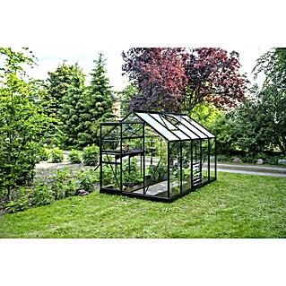 Halls Gewächshaus Popular 106 (Außenmaß inkl. Dachüberstand (B x T): 193 x 319 cm, Schwarz, Wandstärke: 3 mm)