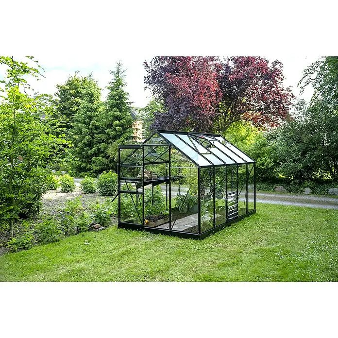 Halls Gewächshaus Popular 106 - Außenmaß inkl. Dachüberstand (B x T): 193 x 319 cm, Blankglas, 3 mm, Schwarz - Schwarz umrahmtes Glasgewächshaus mit Pflanzen und offenen Dachlüftungen.