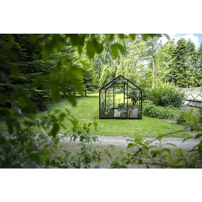Halls Gewächshaus Popular 106 - Außenmaß inkl. Dachüberstand (B x T): 193 x 319 cm, Blankglas, 3 mm, Schwarz - Schwarzgerahmtes Glasgewächshaus in einem üppigen Garten mit Topfpflanzen.