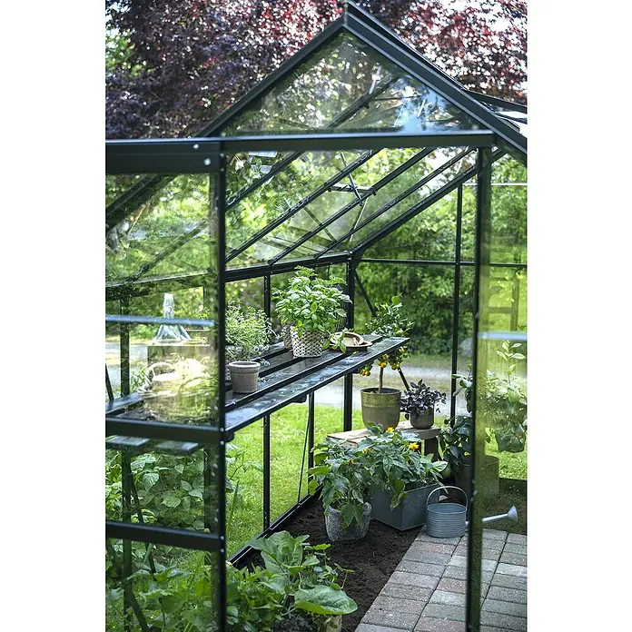 Halls Gewächshaus Popular 106 - Außenmaß inkl. Dachüberstand (B x T): 193 x 319 cm, Blankglas, 3 mm, Schwarz - Dunkel gerahmtes Gewächshaus mit Glaspaneelen, gefüllt mit Pflanzen, in einem üppigen Garten.
