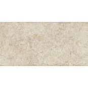 Porculanska pločica Atena  (120 x 60 cm, Boja pijeska, Mat) | BAUHAUS