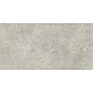 Porculanska pločica Atena (120 x 60 cm, Siva, Mat)