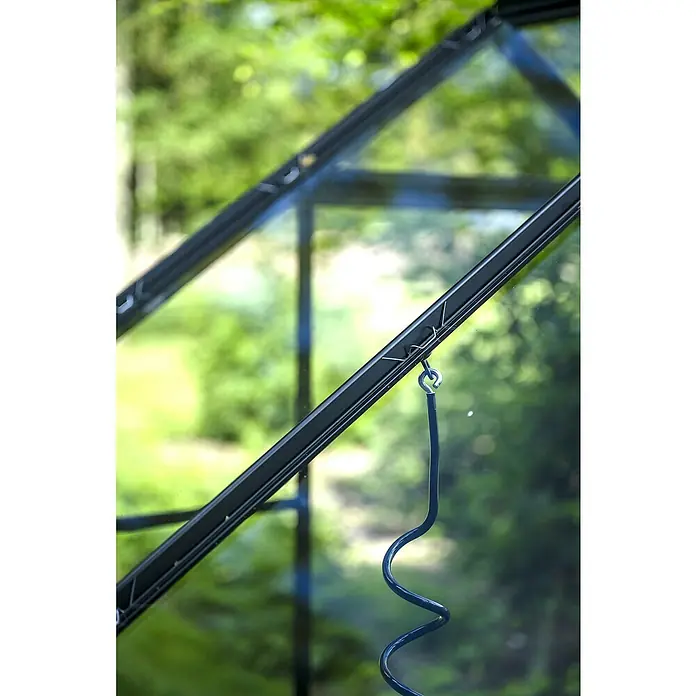 Halls Gewächshaus Popular 106 - Außenmaß inkl. Dachüberstand (B x T): 193 x 319 cm, Blankglas, 3 mm, Schwarz - Schwarzer Gewächshausrahmen mit Glasscheiben. Eine dunkle, spiralförmige Pflanzenstütze hängt an einem Haken, bereit für Pflanzen.