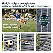 Palram – Canopia Regal-Set (84,7 x 30,5 cm, Passend für: Palram-Canopia Gerätehaus SkyLight & Rubicon, 3 Stk.) | BAUHAUS