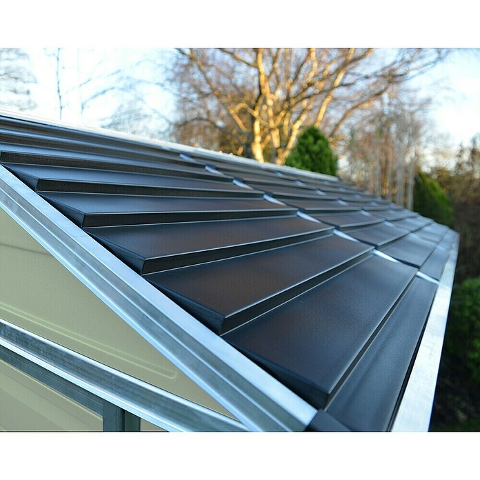 Palram – Canopia Gerätehaus Skylight (Braun, Außenmaß inkl. Dachüberstand (B x T): 175 x 88 cm) | BAUHAUS