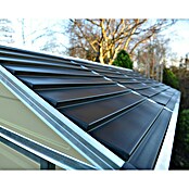 Palram – Canopia Gerätehaus Skylight (Braun, Außenmaß inkl. Dachüberstand (B x T): 175 x 88 cm) | BAUHAUS