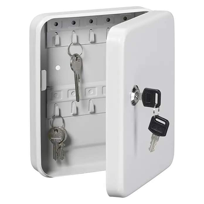 Burg-Wächter Favor Schlüsselbox KC20 - Anzahl Haken: 20 Stk., L x B x H: 5 x 16 x 20 cm - Schlüsselkasten mit Tür und mehreren Schlüsseln darin. Ein Muss für die organisierte Schlüsselaufbewahrung, um Schlüssel sicher aufzubewahren.