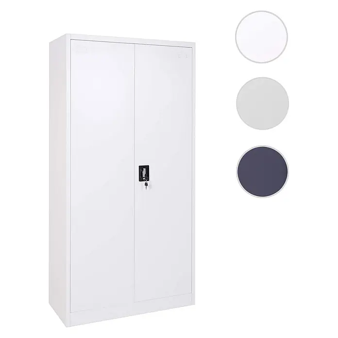 Proregal Aktenschrank mit 2 Türen abschließbar Metall - B x T x H: 90 x 40 x 185 cm, Grau