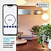 Homematic IP Phasenabschnittdimmer-Einsatz (41 x 54 x 33 mm, Unterputz)