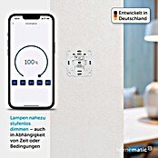 Homematic IP Phasenabschnittdimmer-Einsatz (37 x 71 x 71 mm, Unterputz, 230 V/50 Hz)