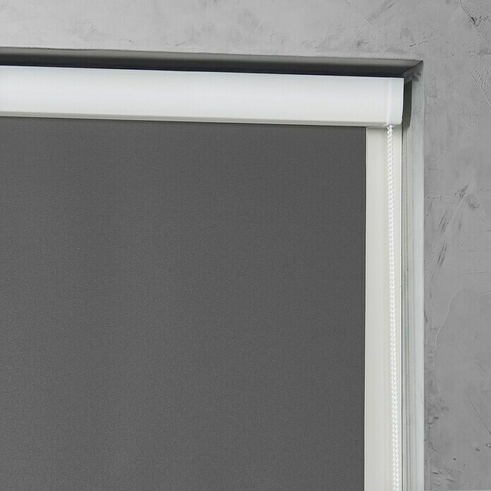 Rollo mit Kassette (B x H: 110 x 175 cm, Grau) | BAUHAUS