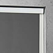 Rollo mit Kassette (B x H: 110 x 175 cm, Grau) | BAUHAUS