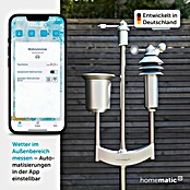 Homematic IP Funk-Wettersensor Pro (Batteriebetrieben, 15 x 40 x 65 cm, Edelstahl)