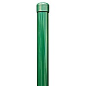 Alberts Ograjni steber P 34  (Premer: 34 mm, Zelena, Jeklo) | 7402 - Zaunpfosten/Streben | IAGA - Metallzaun | IAG - Außenbereichsausstattung | IA - Gartenhartware | I - Stadtgarten | BAUHAUS