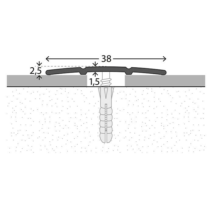 LOGOCLIC Prijelazni profil (Srebrno, 1 m x 38 mm x 2,5 mm, Vrsta montaže: Vijci)