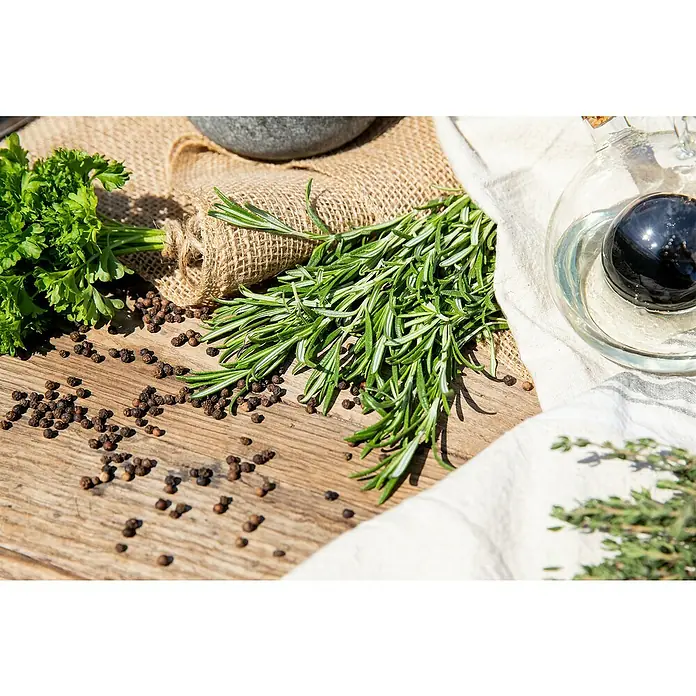 Blu Bio Rosmarin hängend - Rosmarinus officinalis, Topfgröße: 12 cm - Frische Petersilie, Rosmarinzweige und schwarze Pfefferkörner auf rustikalem Holztisch mit Jute und Leinen.