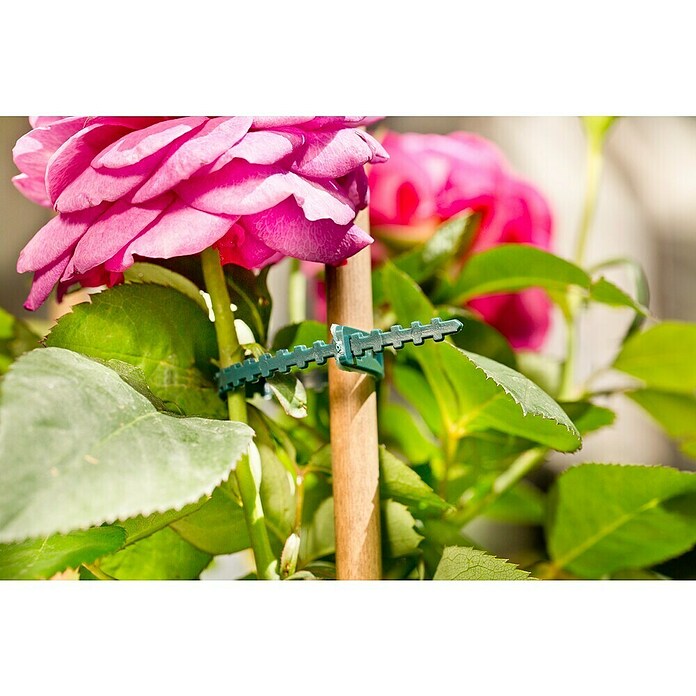 Windhager Vezica za rastline  (14 cm) | 7486 - Verbrauchsartikel | IAGG - Gartenartikel | IAG - Außenbereichsausstattung | IA - Gartenhartware | I - Stadtgarten | BAUHAUS