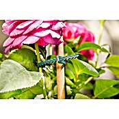 Windhager Vezica za rastline  (14 cm) | 7486 - Verbrauchsartikel | IAGG - Gartenartikel | IAG - Außenbereichsausstattung | IA - Gartenhartware | I - Stadtgarten | BAUHAUS
