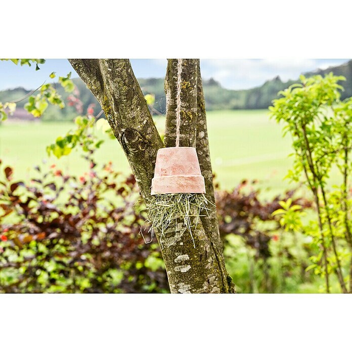 Windhager Vrvica iz jute  (50 m, 4 mm) | 7486 - Verbrauchsartikel | IAGG - Gartenartikel | IAG - Außenbereichsausstattung | IA - Gartenhartware | I - Stadtgarten | BAUHAUS