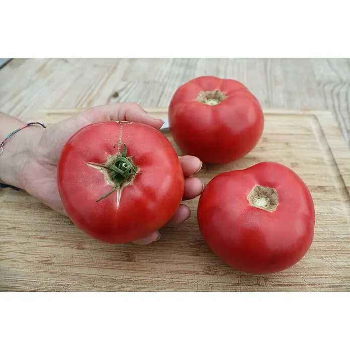 Blu Bio Fleischtomate - Lycopersicon esculentum, 12 cm, Erntezeit: Juli - Drei große rote Tomaten, eine von einer Hand gehalten, auf einem Holzschneidebrett.