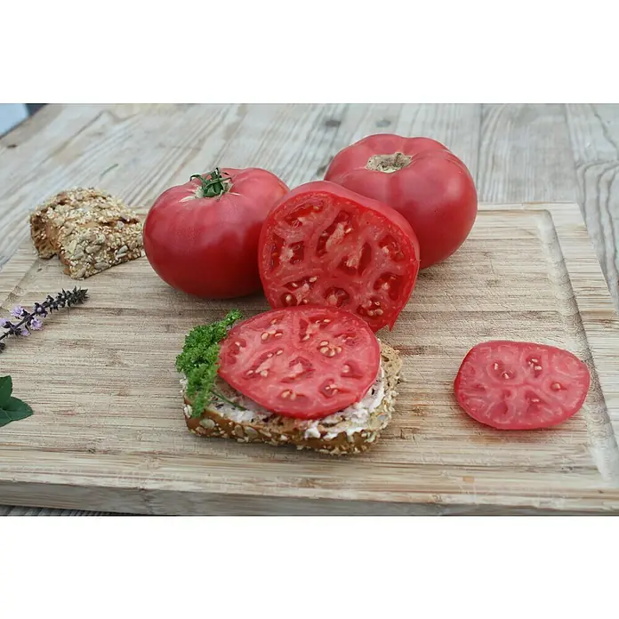 Blu Bio Fleischtomate - Lycopersicon esculentum, 12 cm, Erntezeit: Juli - Reife rote Tomaten, ganz und geschnitten, und ein Vollkornbrot mit Aufstrich und Petersilie auf einem Holzschneidebrett.