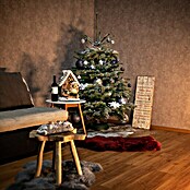 Nordmann kerstboom (Langdurig naaldhoudend, groeit gelijkmatig, zeer goede duurzaamheid, Abies Nordmanniana) | BAUHAUS