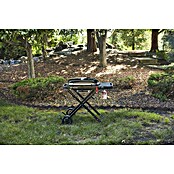 Weber Plinski žar Traveler  (Površina za peko (Š x G): 63 x 34 cm, 3,8 kW, Število gorilnikov: 1 kos) | 8313 - Gasgrill Marke | ICGA - Grillgeräte | ICG - Grillgeräte / Grillzubehör | IC - Freizeit im Garten | I - Stadtgarten | BAUHAUS