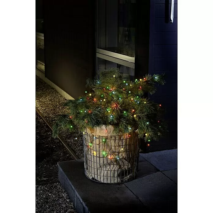 Konstsmide LED-Lichterkette Globes - Außen, Lichtfarbe: Mehrfarbig, Anzahl Leuchtmittel: 40 Stk., Batteriebetrieben - Ein beleuchteter Kiefernbaum im Topf mit farbigen LED-Lichterketten, in einem Drahtkorb mit Sackleinen auf einer Außentreppe.