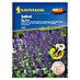 Kiepenkerl Profi-Line Blumensamenmischung Salbei Big Blue 