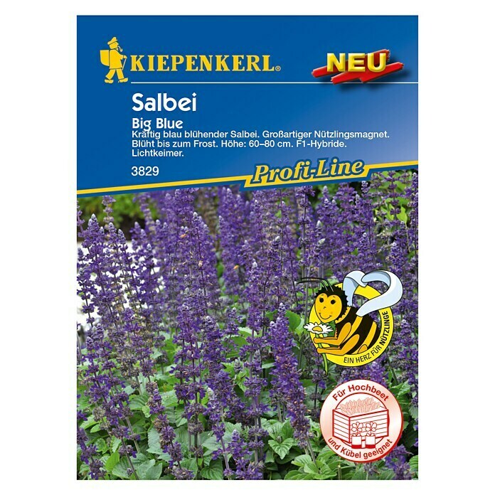 Kiepenkerl Profi-Line Blumensamenmischung Salbei Big Blue (Salvia longispicata x farinacea, Blau) | BAUHAUS