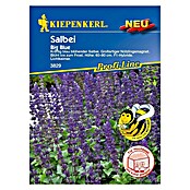 Kiepenkerl Profi-Line Blumensamenmischung Salbei Big Blue (Salvia longispicata x farinacea, Blau) | BAUHAUS