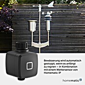 Homematic IP Bewässerungsautomat HmIP-WSM (Betriebsdruck: 0,9 bar - 9 bar, Durchflusssensor: 2 - 45 L/min) | BAUHAUS