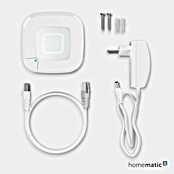 Homematic IP Centro de control Access Point 2 (L x An x Al: 10,4 x 10,4 x 4 cm) | BAUHAUS