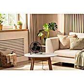 Voltomat USB ventilator Mini  (Črna, 18 cm) | 3443 - Tisch/Standventilatoren QM | CBLB - Ventilatoren Qualitätsmarke | CBL - Ventilatoren | CB - Elektroinstallation | C - Elektro | BAUHAUS