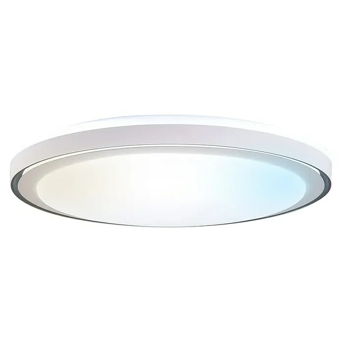 Led Hispania Plafón LED redondo Ítaca - 40 W, Ø x Al: 500 cm x 90 mm, Gris/Plata, Blanco frío - Lámpara de techo LED redonda blanca.