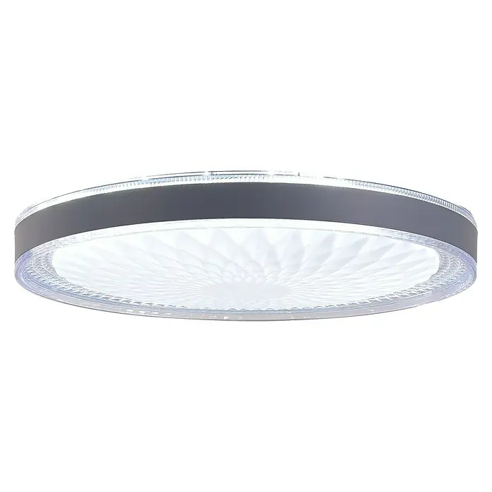 Led Hispania Plafón LED redondo Bisé - 40 W, Ø x Al: 500 cm x 90 mm, Gris/Plata, Blanco frío - Lámpara de techo LED redonda con marco gris oscuro y difusor transparente y texturizado.
