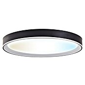Led Hispania Plafón LED redondo Dokos (40 W, Negro, Blanco frío) | BAUHAUS