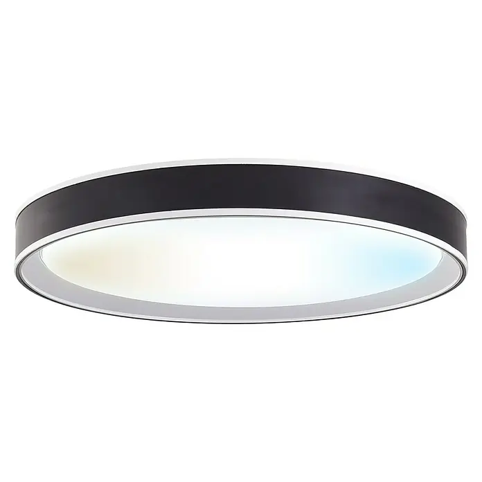 Led Hispania Plafón LED redondo Dokos - 40 W, Ø x Al: 500 cm x 90 mm, Negro, Blanco frío - Plafón redondo con marco negro y difusor blanco.