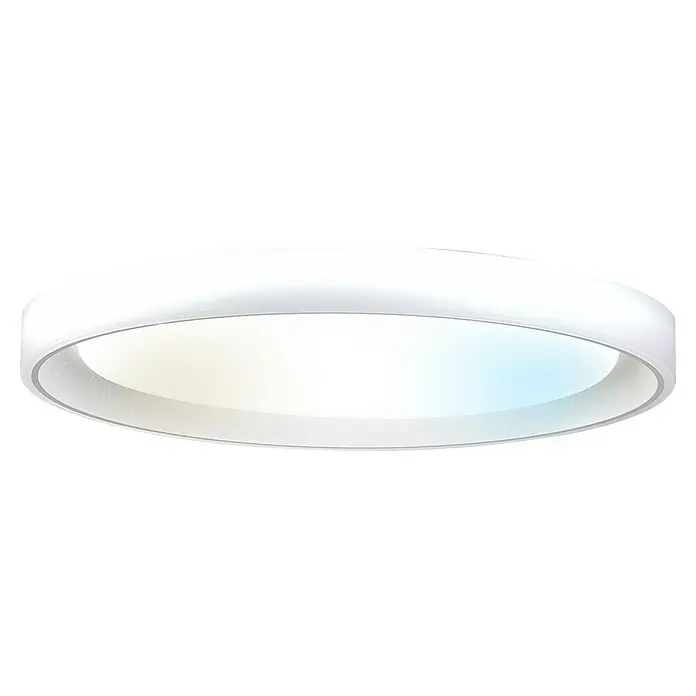 Led Hispania Plafón LED redondo Zonda - 40 W, Ø x Al: 500 cm x 90 mm, Gris/Plata, Blanco frío - Lámpara de techo LED redonda blanca de montaje empotrado con difusor translúcido.
