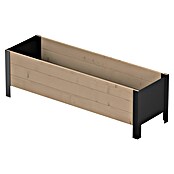 Upyard Pflanzkasten Modernbox niedrig (118 x 36 x 32 cm, Holz, Braun/Schwarz) | BAUHAUS