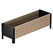 Upyard Pflanzkasten Modernbox niedrig (118 x 36 x 32 cm, Holz, Braun/Schwarz) | BAUHAUS
