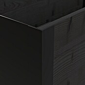 Upyard Pflanzkasten Modernbox niedrig (78 x 36 x 32 cm, Holz, Schwarz) | BAUHAUS