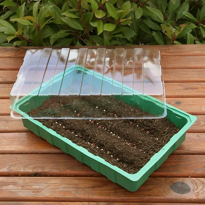 Floraworld Zimmergewächshaus - L x B x H: 35,5 x 22 x 12,5 cm, Grün, Mit 28 Vertiefungen - Ein grünes Anzuchtset mit durchsichtigem Deckel, gefüllt mit Erde und Samen, steht auf einem Holztisch vor grünem Laub.