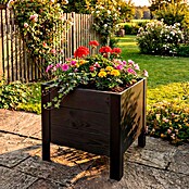 Upyard Pflanzkasten Modernbox niedrig (36 x 36 x 32 cm, Holz, Schwarz) | BAUHAUS