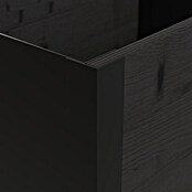 Upyard Pflanzkasten Modernbox niedrig (58 x 36 x 32 cm, Holz, Schwarz) | BAUHAUS