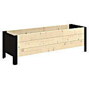 Upyard Pflanzkasten Modernbox niedrig (118 x 36 x 32 cm, Holz, Natur/Schwarz) | BAUHAUS